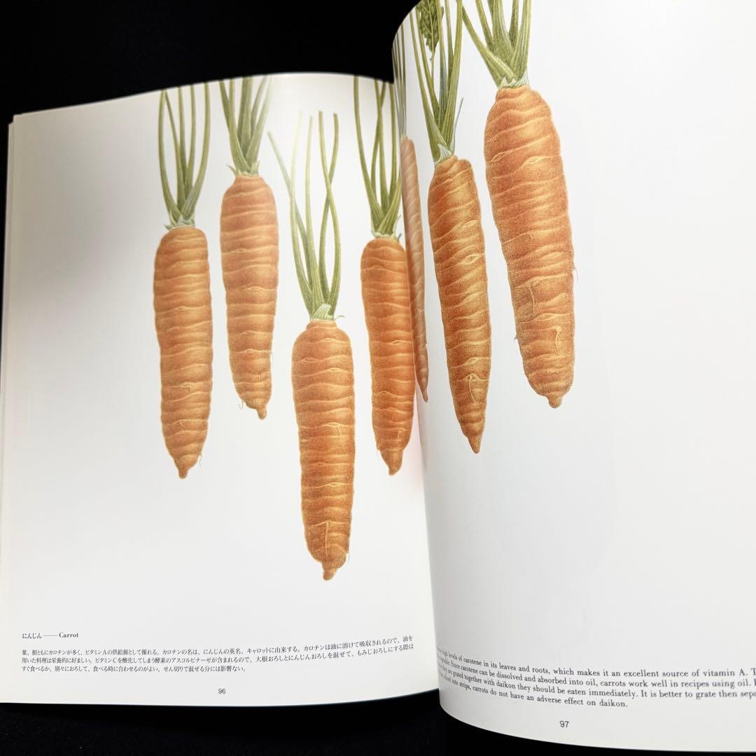 【絶版】大橋正 作品集「VEGETABLES ヴェジタブル・イラストレーション」