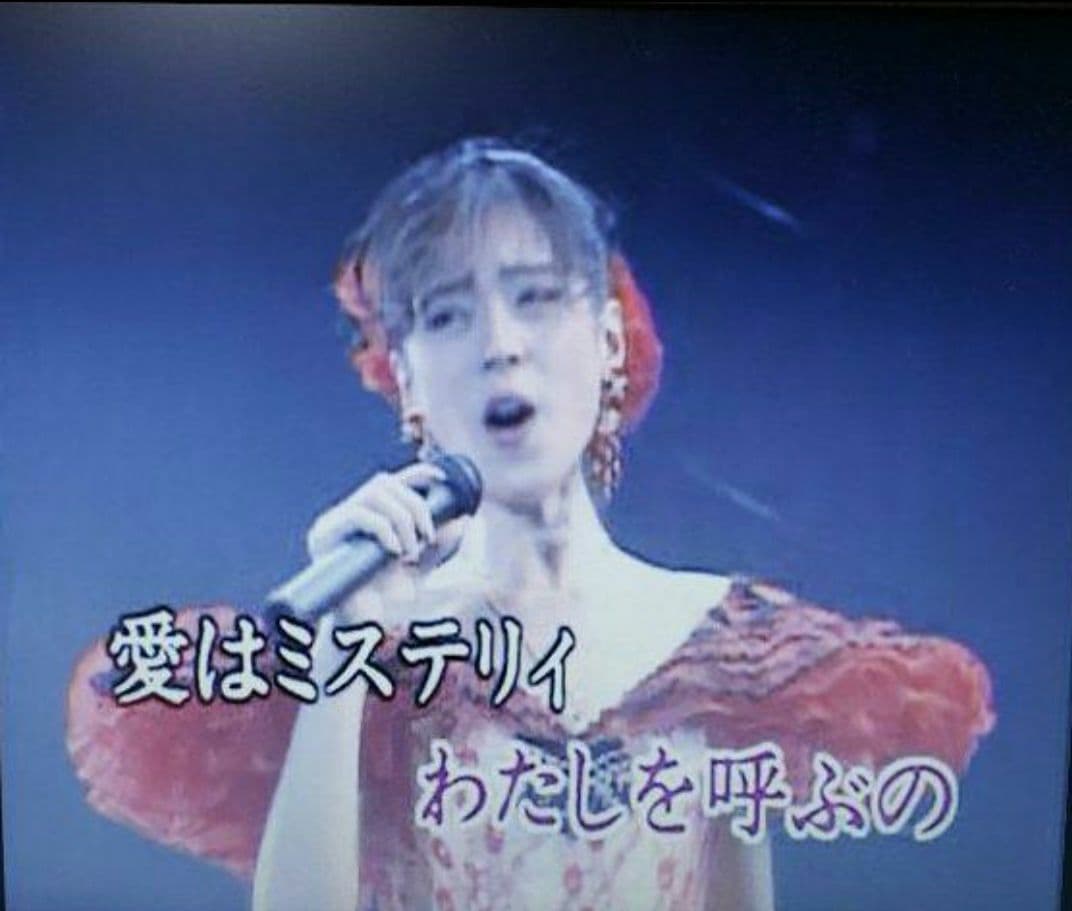 第一興商 カラオケ VCD『中森明菜』全17曲です。
