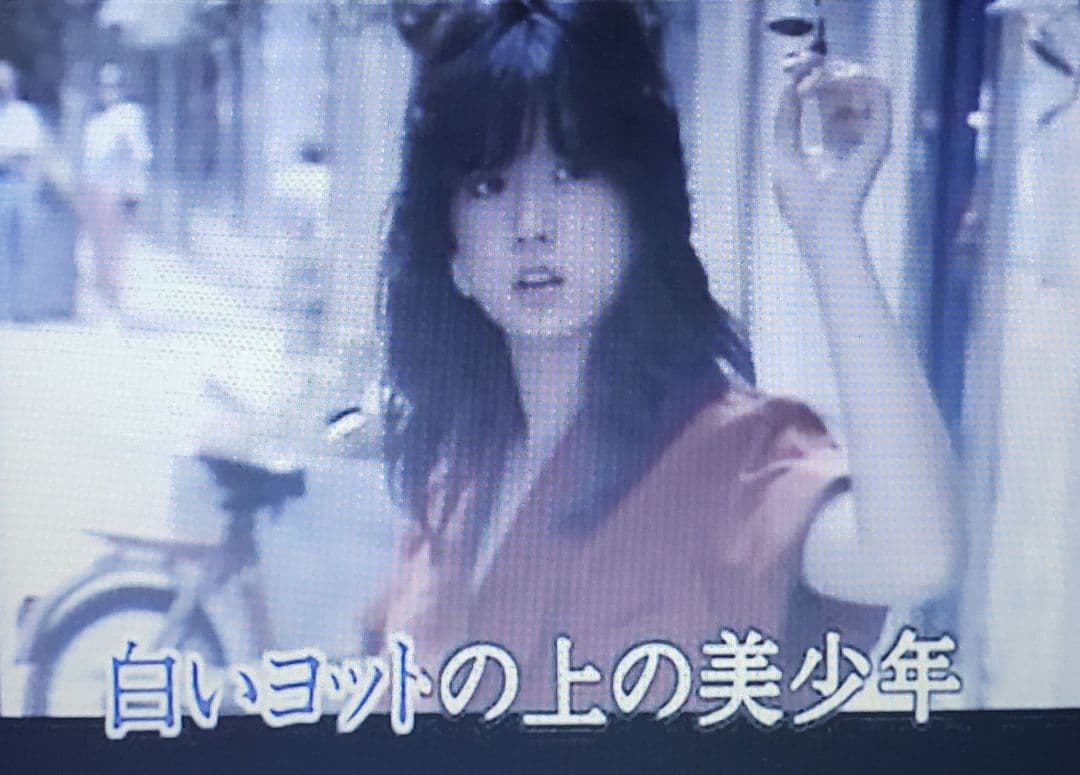 第一興商 カラオケ VCD『中森明菜』全17曲です。