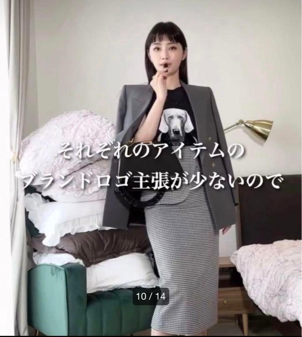 滝沢真紀子さん愛用マックスマーラ Max Mara dog Tシャツ　XS