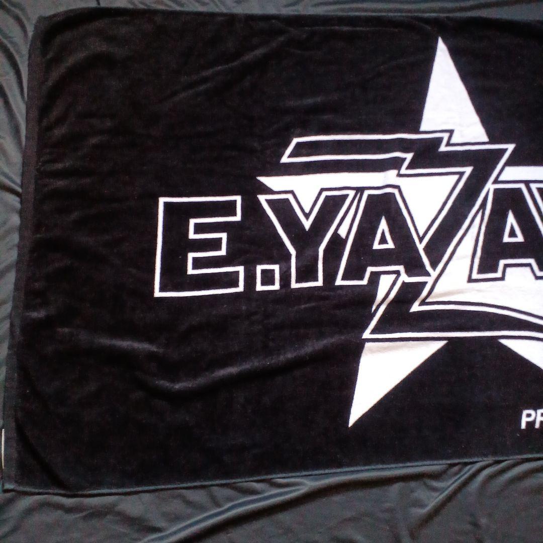 ミュージシャン ey0914830