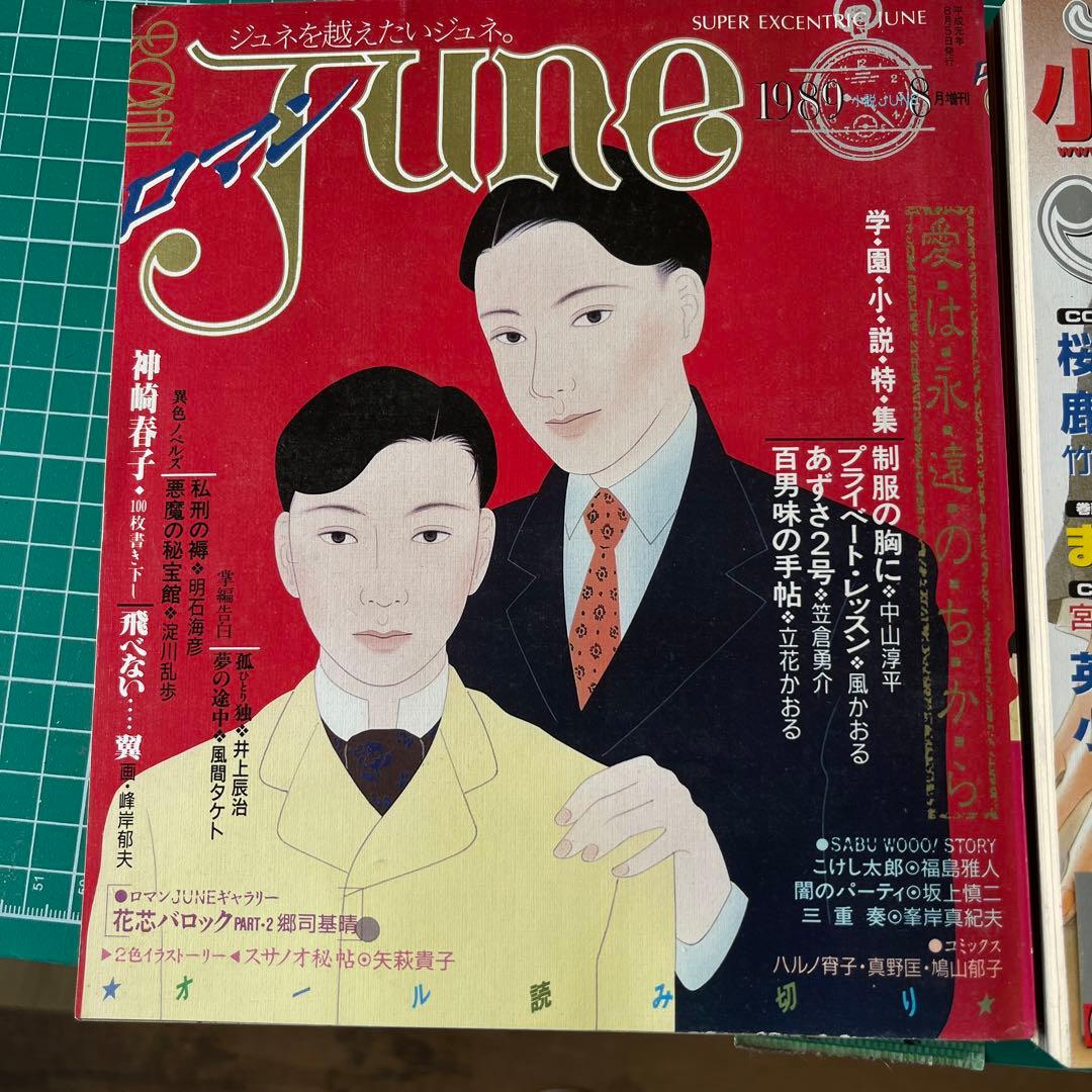 小説　June 153冊以上セット