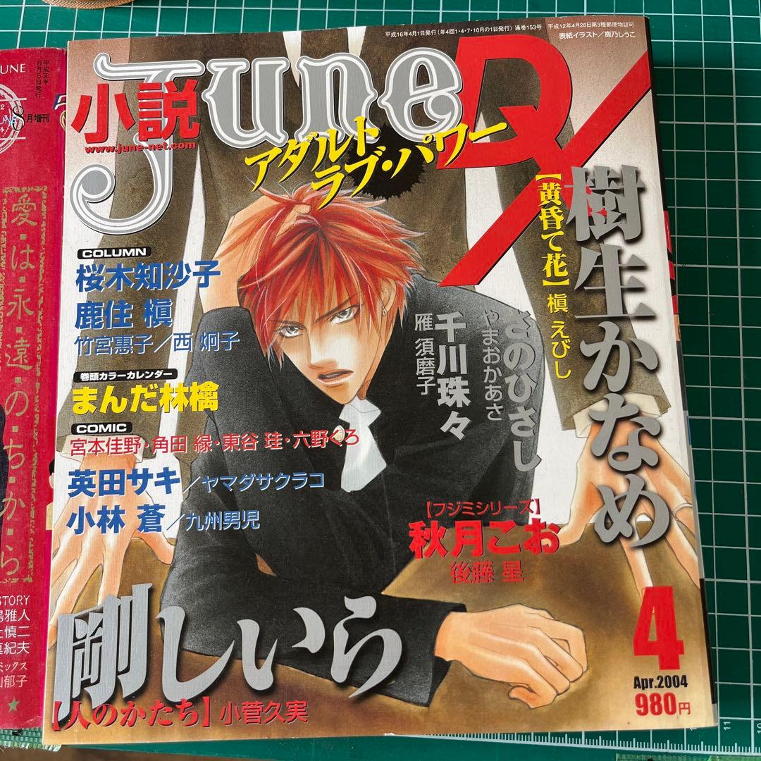 小説　June 153冊以上セット