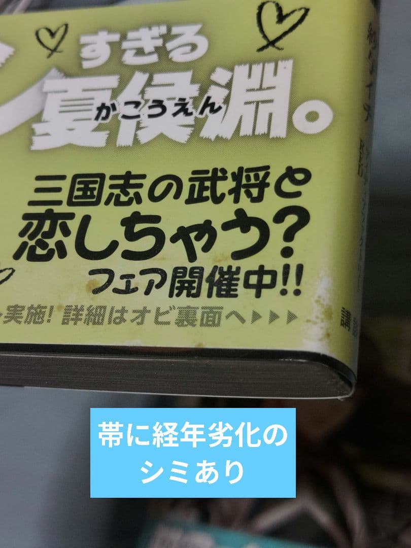 【十三支演義】紗与イチ先生コミカライズ5冊セット
