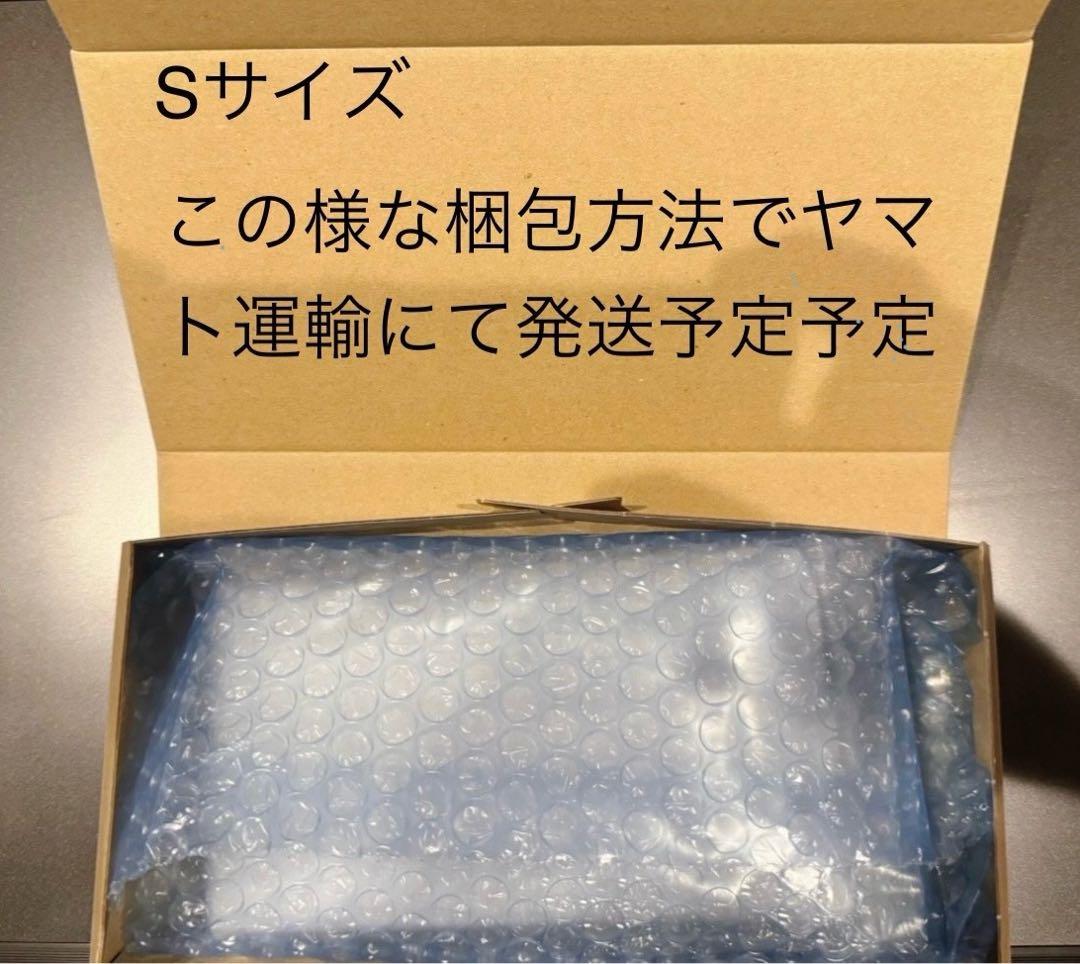 PSA10デカヌチャン6273