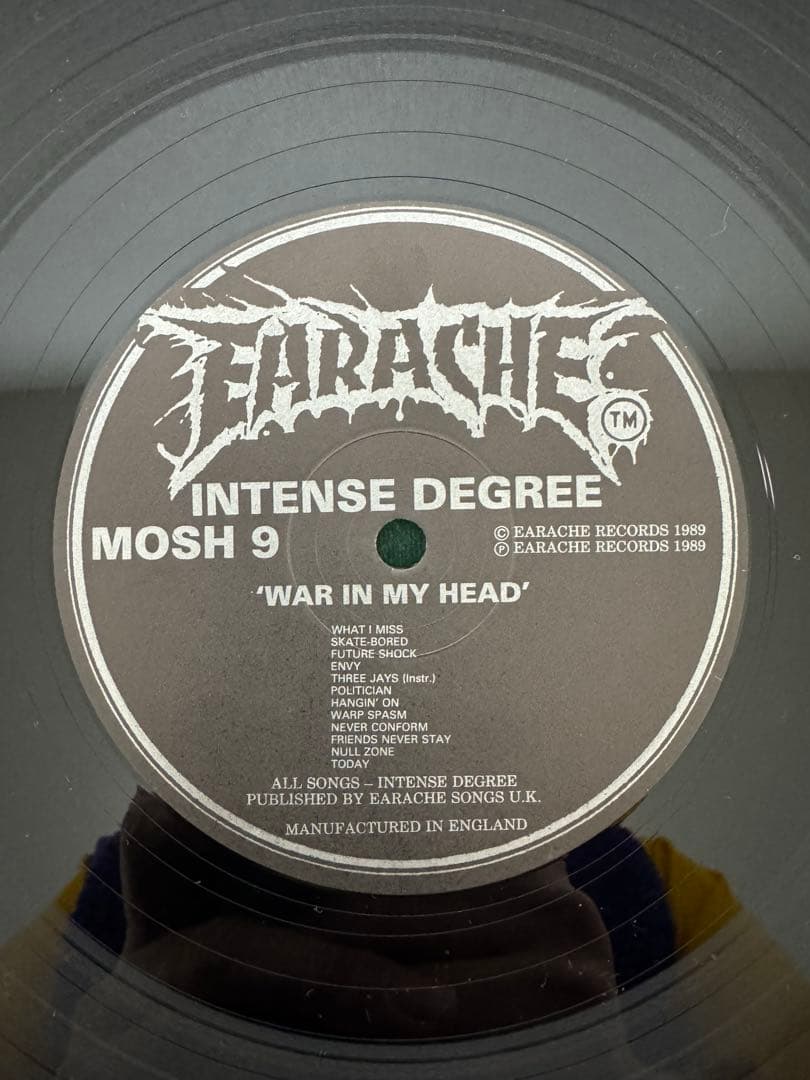 INTENSE DEGREE レコード　美品