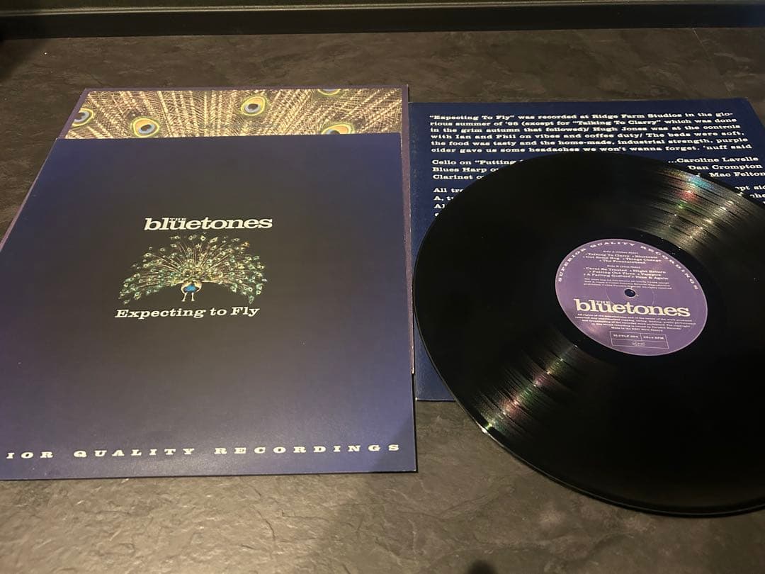 Bluetones Expecting to Fly アナログレコード