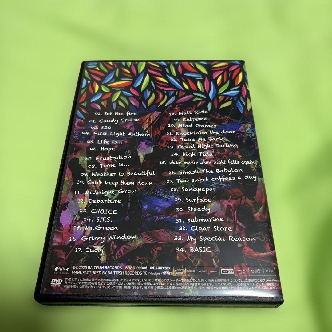 ミュージック SHANK DVD BRAND NEW OLD SHIT