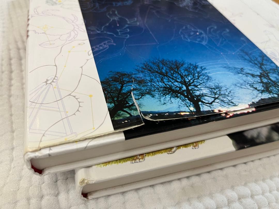 5冊セット♡美品　小学館の図鑑NEO まとめ