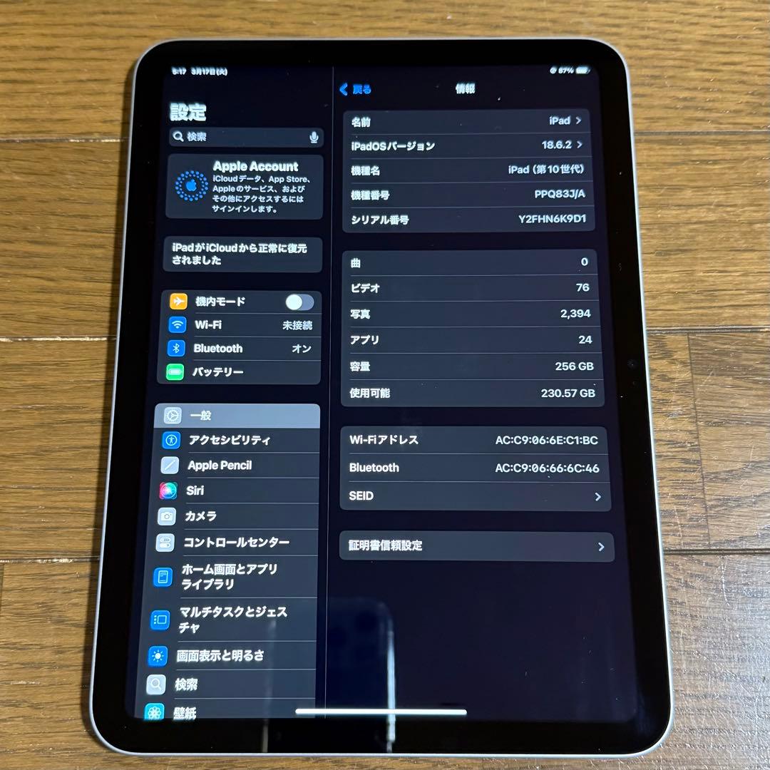 ち*ん様 iPad 本体 第10世代 256GB WiFiモデル シルバー 本体