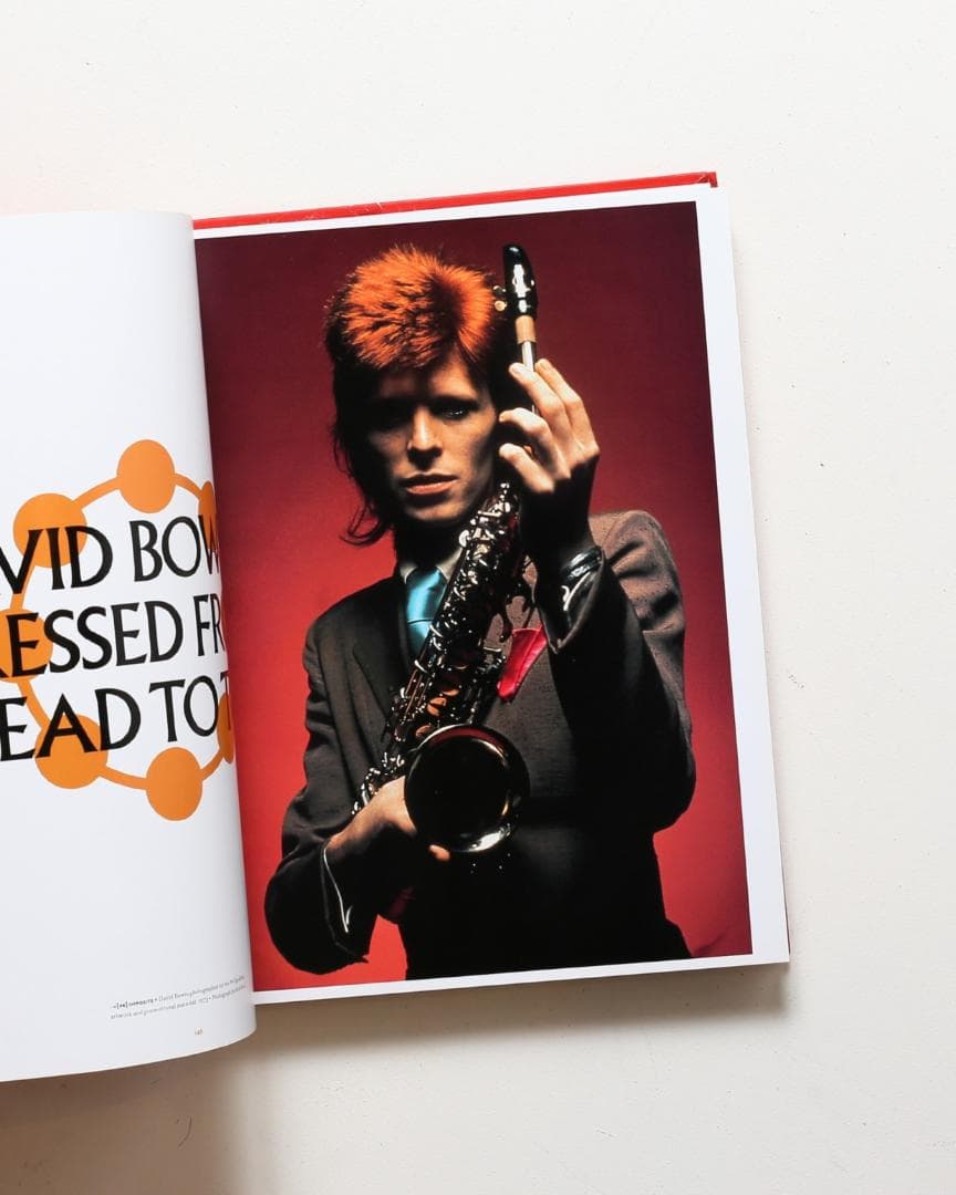 【絶版・新品未開封】デヴィッドボウイ David Bowie is Inside