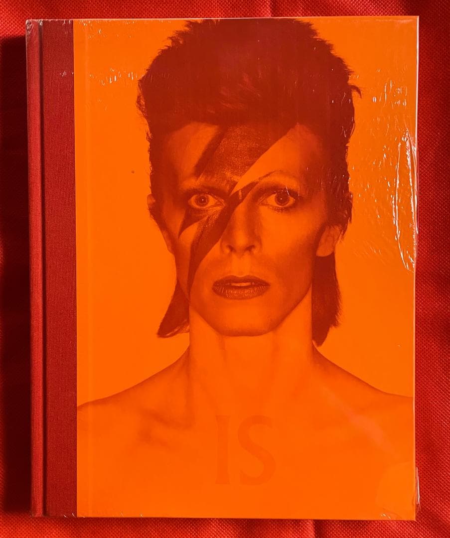 【絶版・新品未開封】デヴィッドボウイ David Bowie is Inside