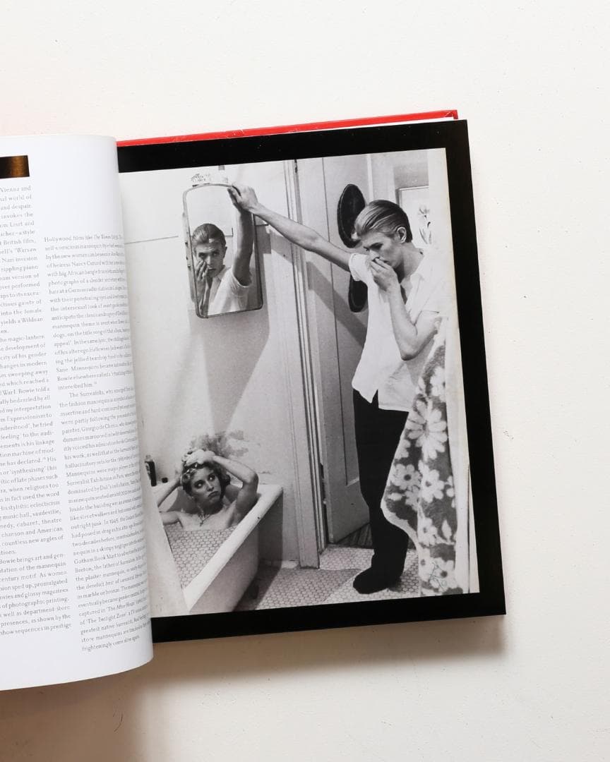 【絶版・新品未開封】デヴィッドボウイ David Bowie is Inside