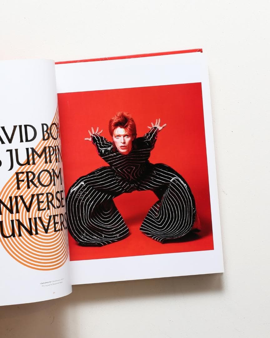 【絶版・新品未開封】デヴィッドボウイ David Bowie is Inside