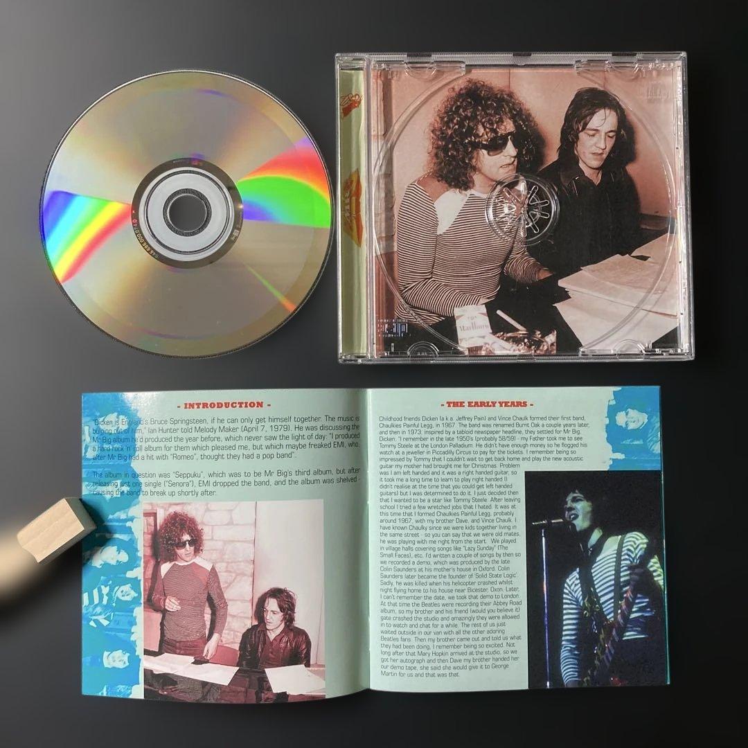 洋楽 MR BIG SEPPUKU CD