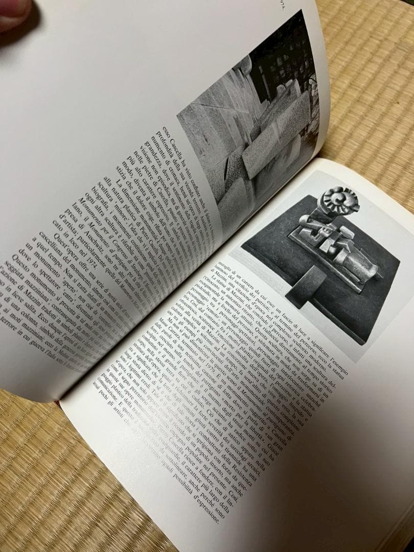 本　作品集　カタログ　LA SCULTURA DEL NOVECENTO
