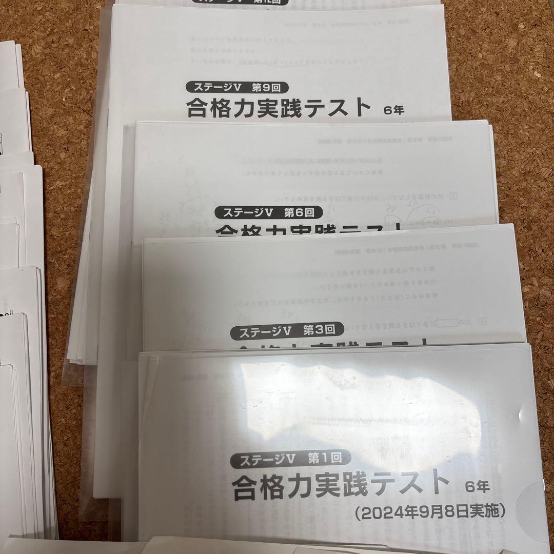 日能研　6年生 後期　合格力育成テスト　合格力実践テスト　計12回分