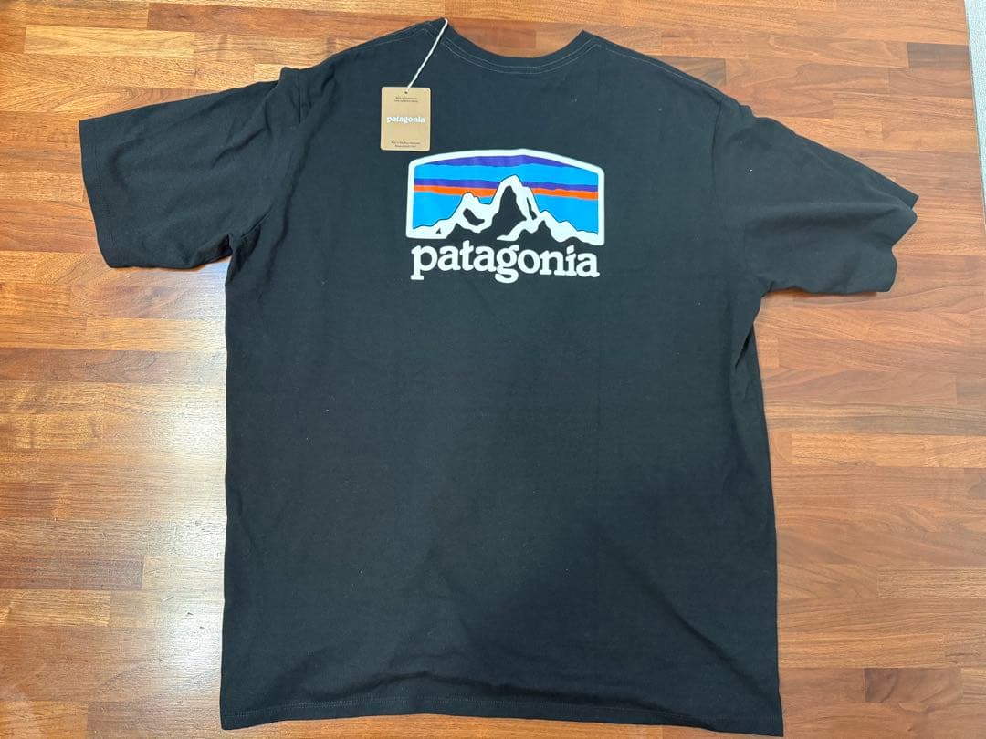 パタゴニア　Tシャツ　2枚