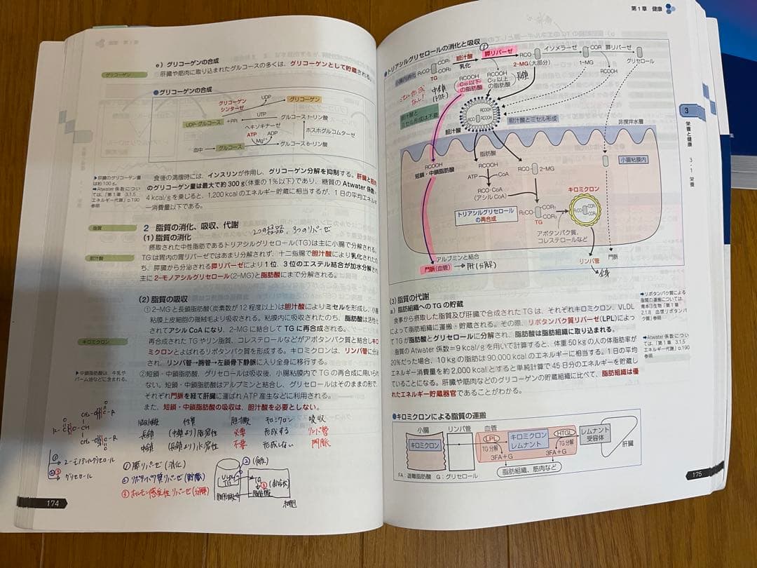 薬学ゼミ　第110回国家試験対策　青本青問9巻セット