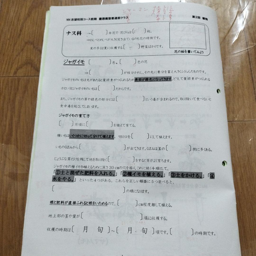 NN慶應義塾普通部 前期テキスト6回分セット4教科