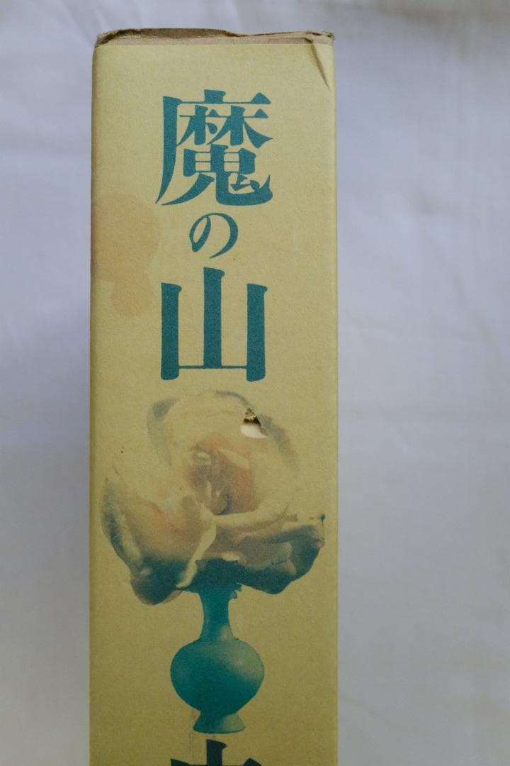 中川幸夫 (Yukio Nakagawa) 作品写真集 魔の山