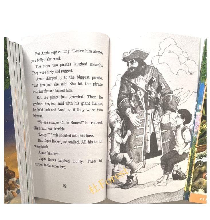 新品 Magic Tree House 絵本39冊 音源付