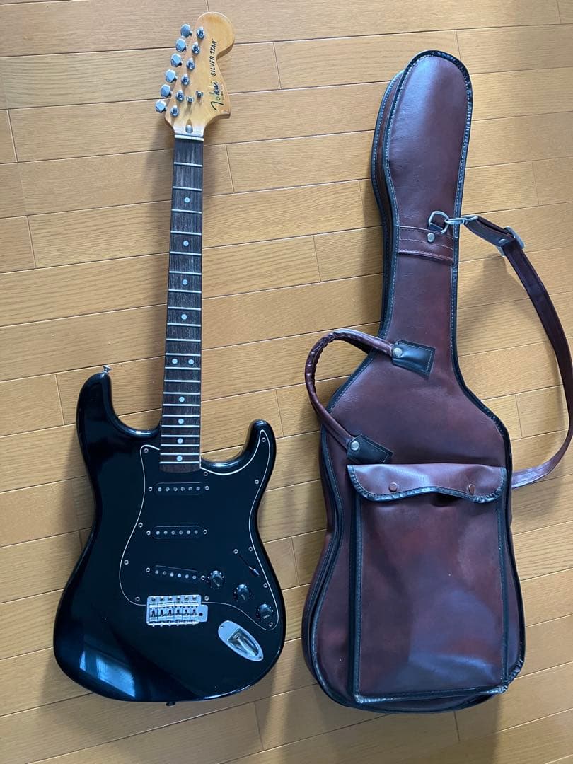 TOKAI SILVER STAR ソフトケース付き