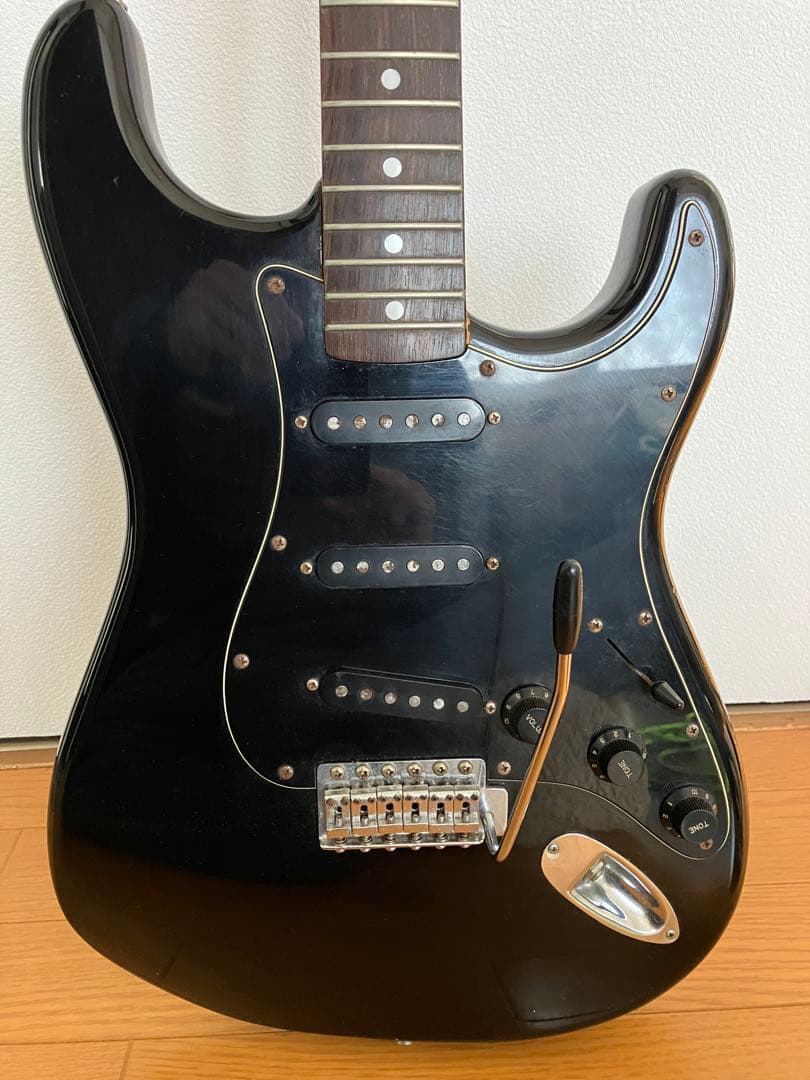TOKAI SILVER STAR ソフトケース付き