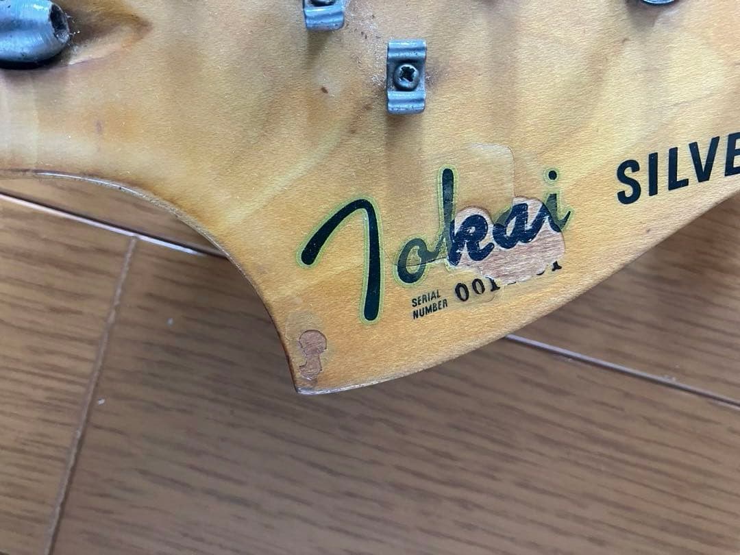 TOKAI SILVER STAR ソフトケース付き