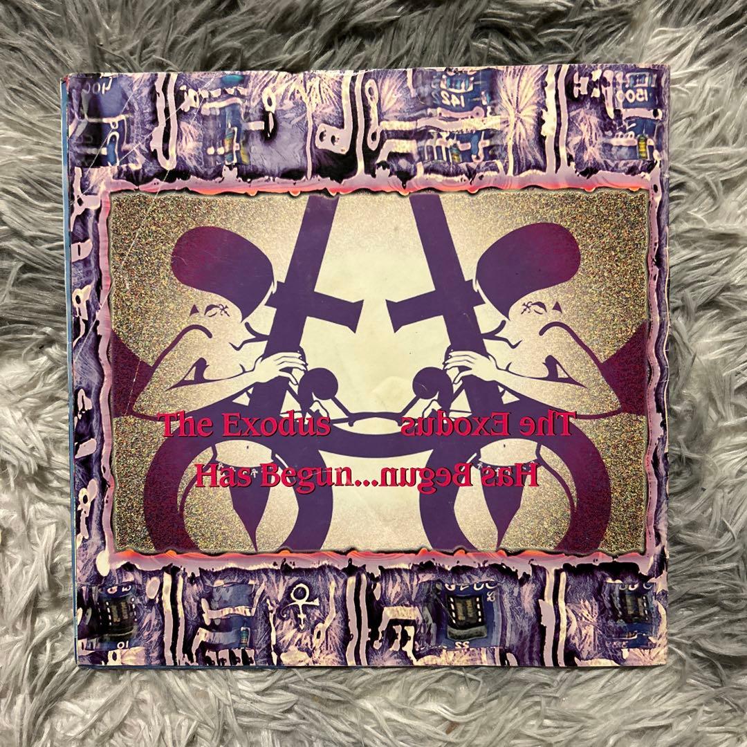 プリンスThe Beautiful Experience U.S 12\"