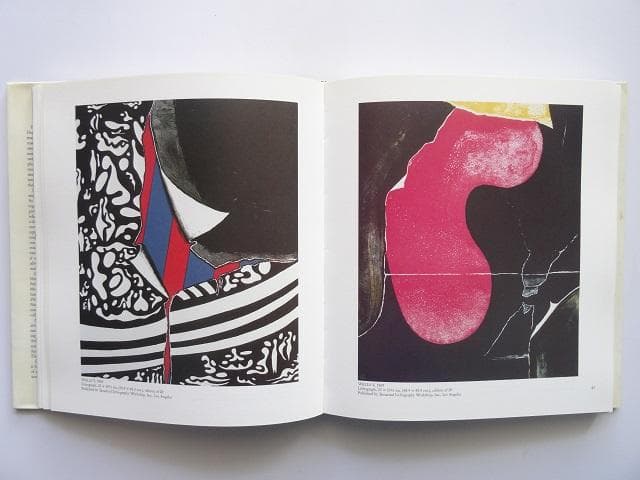 洋書◆ドーアンチャイ画集 作品写真集 本 絵画 ブーハン・チャヒト