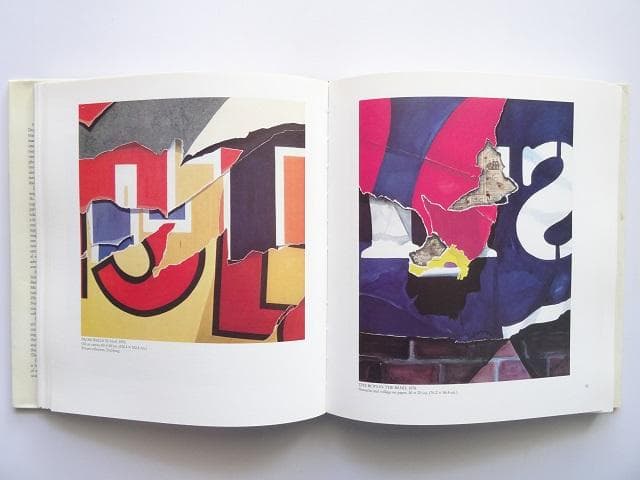 洋書◆ドーアンチャイ画集 作品写真集 本 絵画 ブーハン・チャヒト