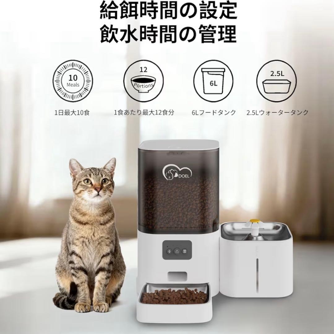 ペットの 給餌器 & 給水器 《 2-in-1 》