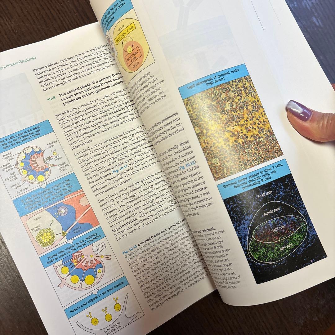 医学書　Janeway’s Immunobiology 9th edition
