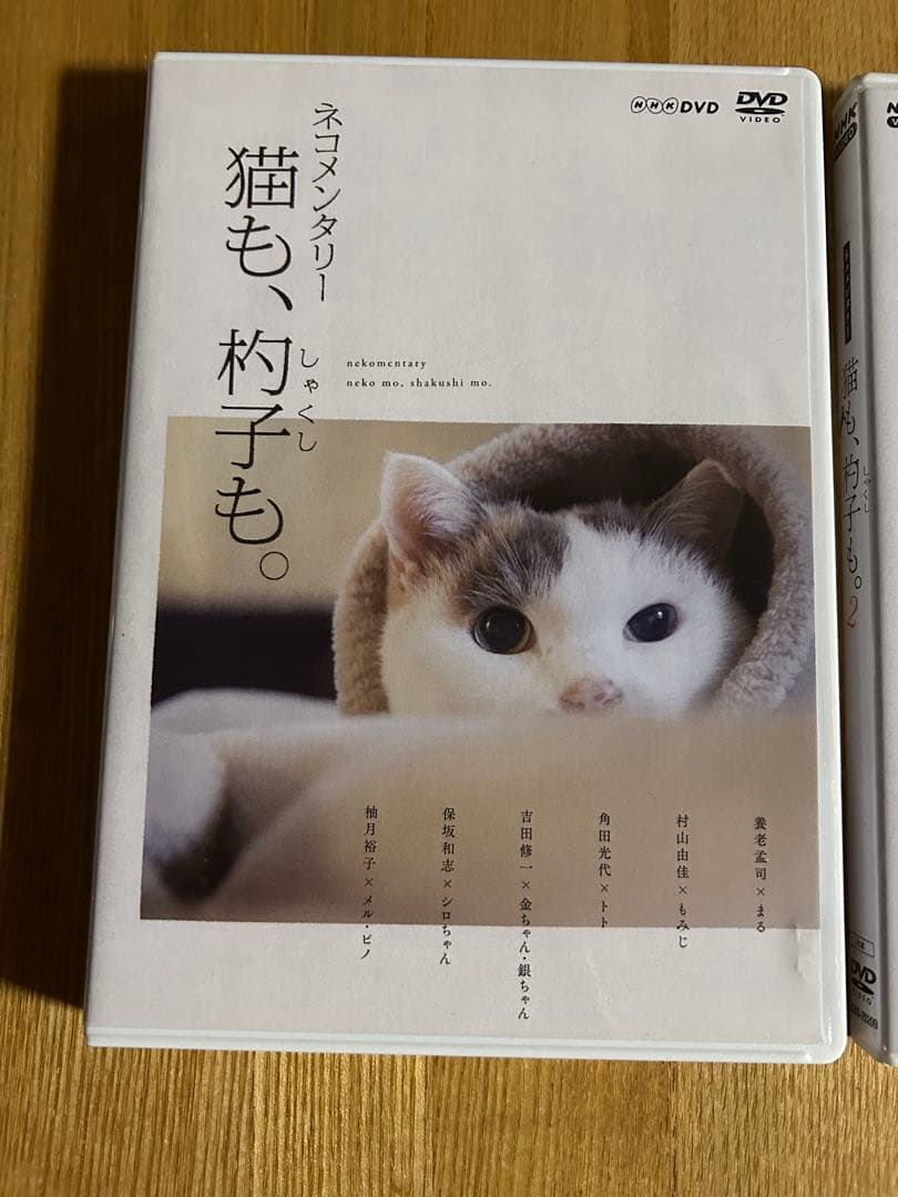 ネコメンタリー　猫も、杓子も。　2枚セット