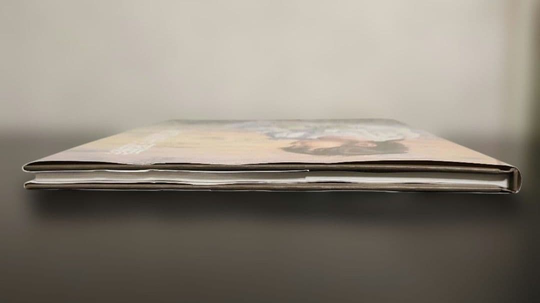 ​【希少・サイン入】藤岡心象画集 外箱付き 一枚の繪