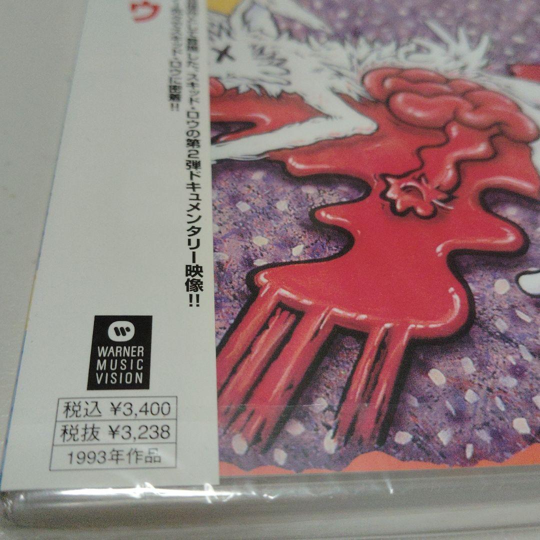 新品未開封 DVD 日本国内盤 スキッド・ロウ ロードキル