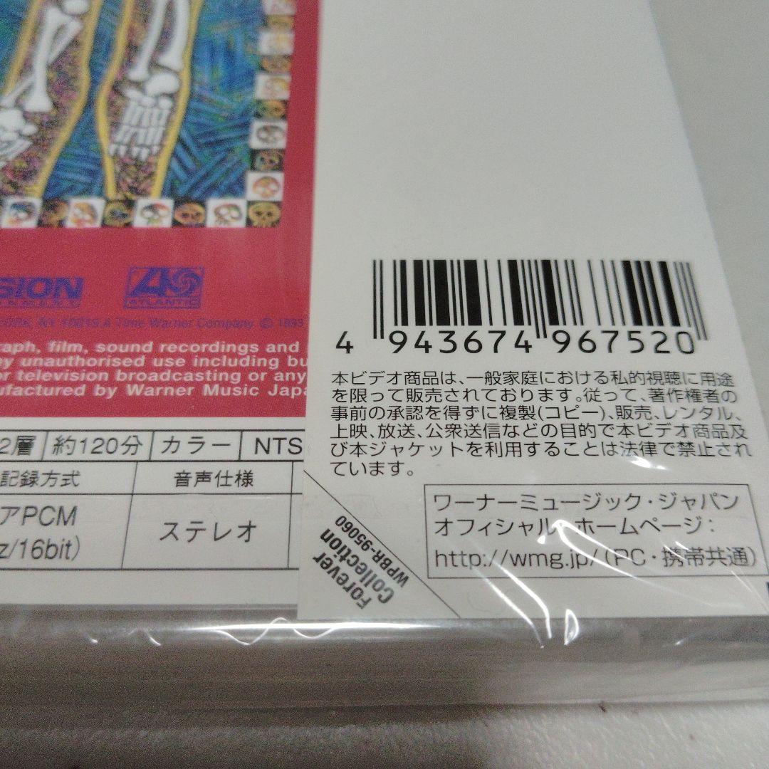 新品未開封 DVD 日本国内盤 スキッド・ロウ ロードキル
