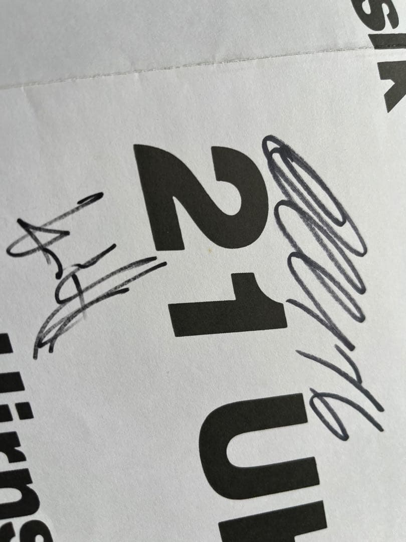 SWANS Filth レコード　サイン入り　2枚ポスター付き