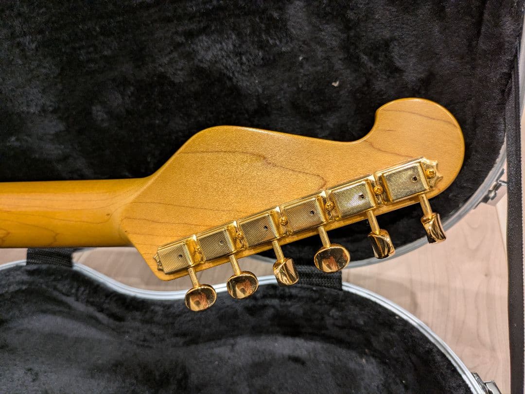 ギター Don Grosh NOS Retro