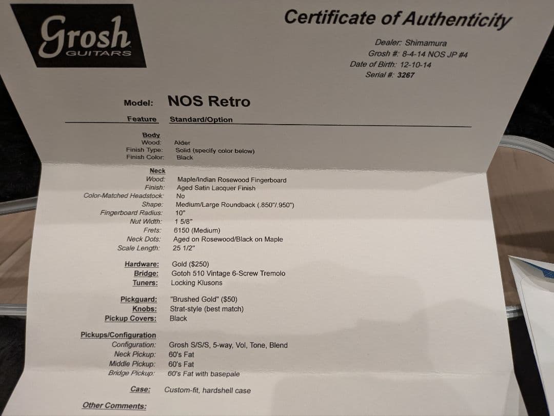 ギター Don Grosh NOS Retro