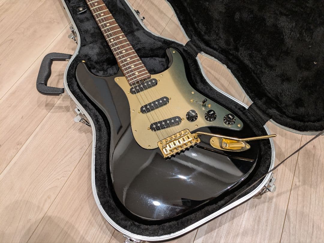 ギター Don Grosh NOS Retro