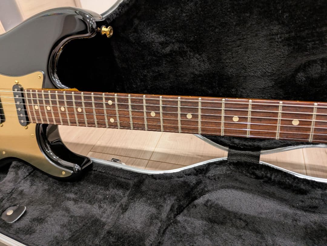 ギター Don Grosh NOS Retro