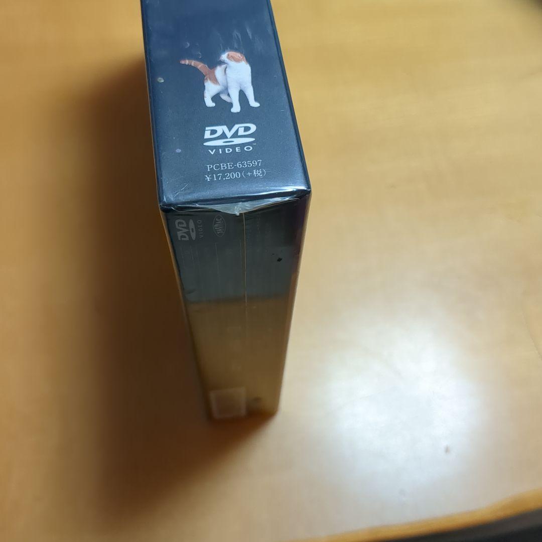 新品未開封　スミカスミレ 45歳若返った女 DVD