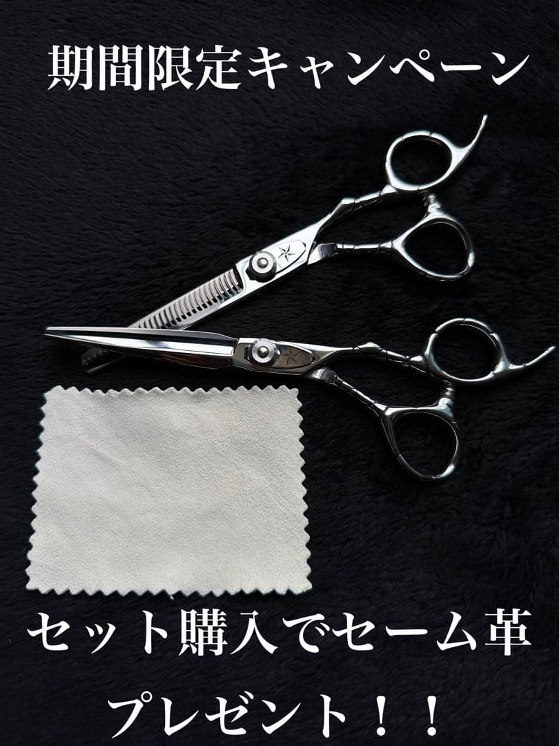 美容師 セット ミズタニ 武芸 ロイヤルマスター 光シザー トギノン トリマー