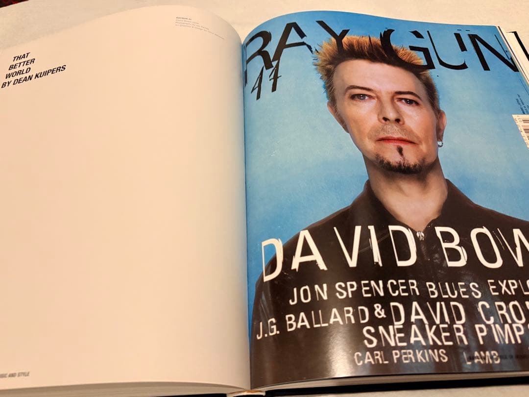 アート・デザイン・音楽 RAYGUN THE BIBLE OF MUSIC & STYLE