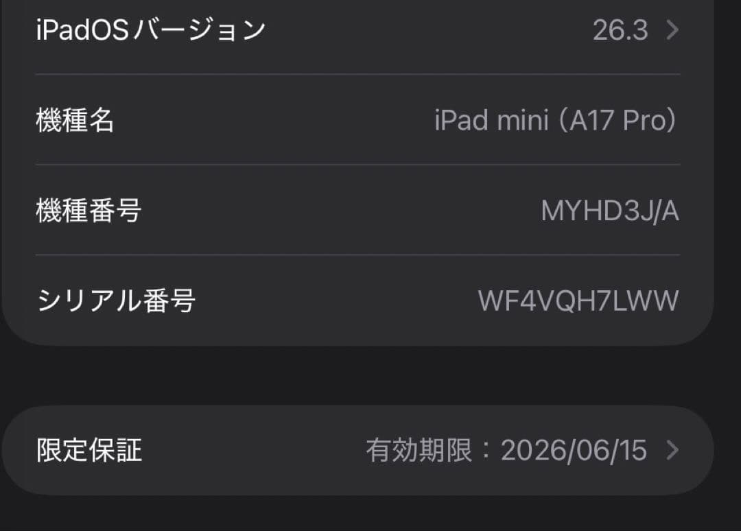 iPad mini 7 （A17 Pro）WiFi+cellular 512GB