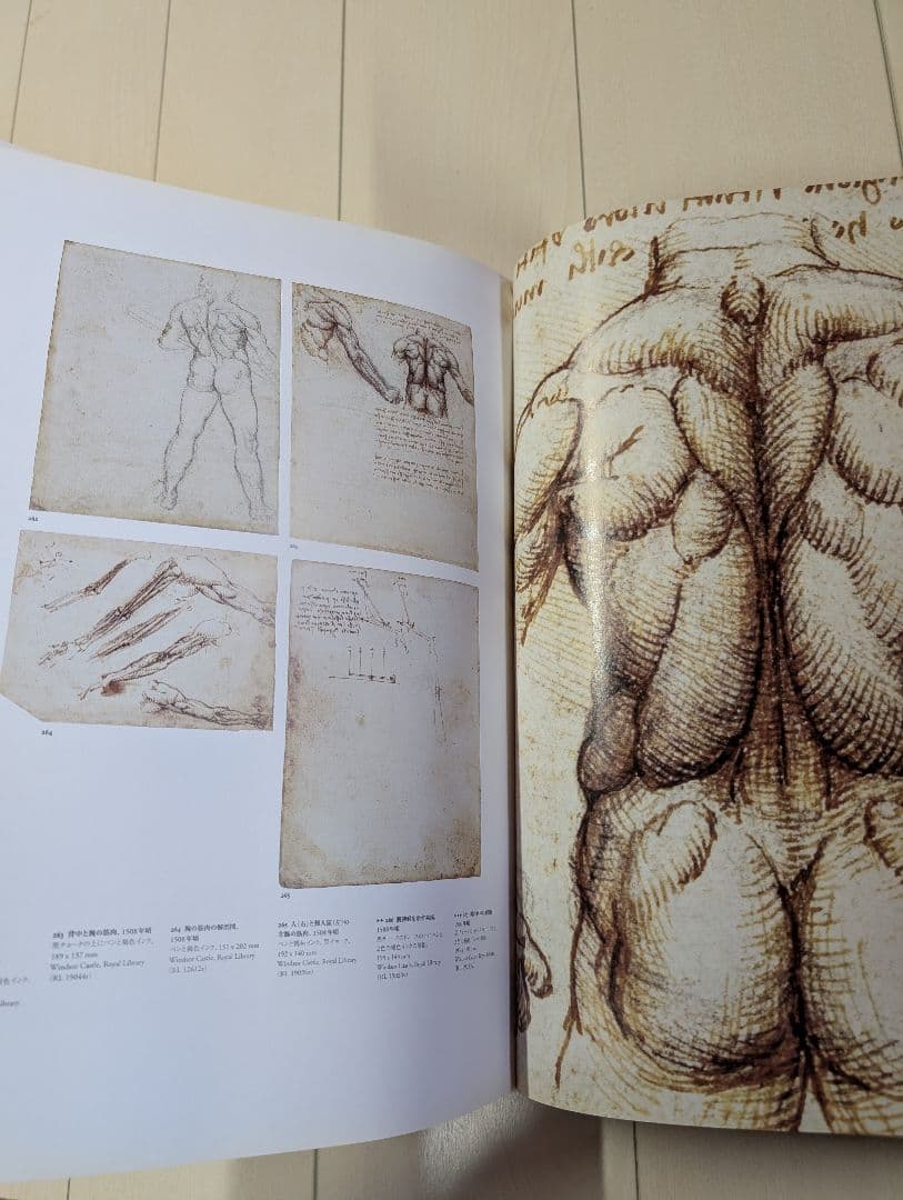 レオナルド・ダヴィンチ 全絵画作品・素描集　TASCHEN　da vinci