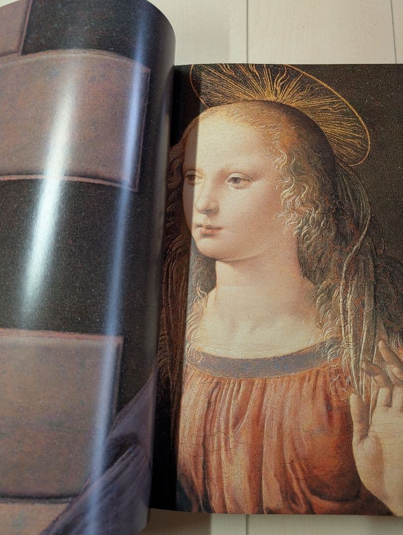レオナルド・ダヴィンチ 全絵画作品・素描集　TASCHEN　da vinci