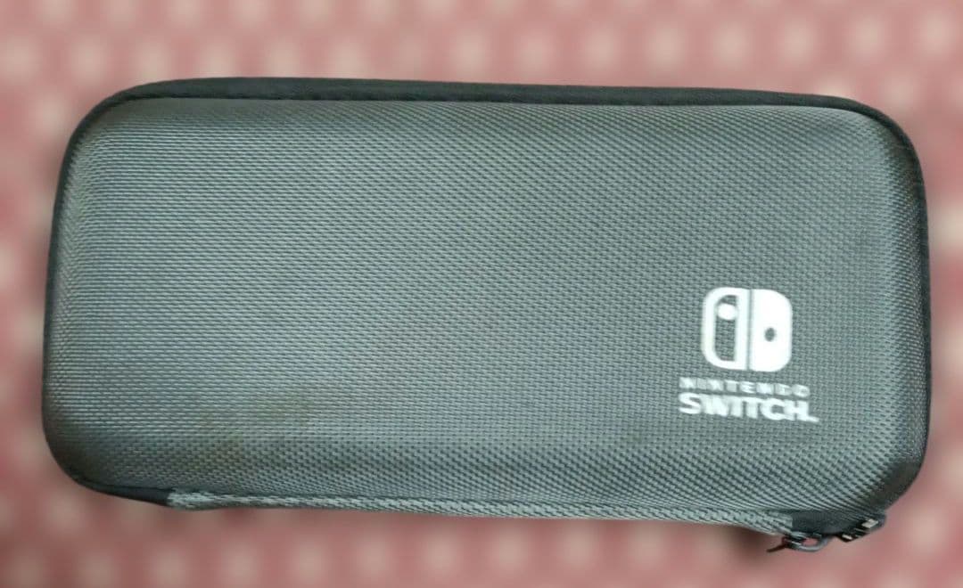 NintendoSwitchLight ターコイズ 箱、ケース付き 中古